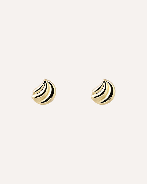 Shell Earrings