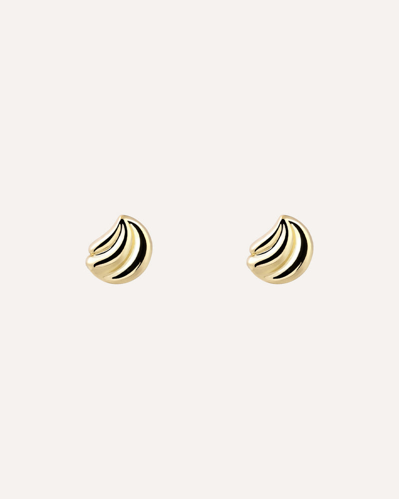 Shell Earrings