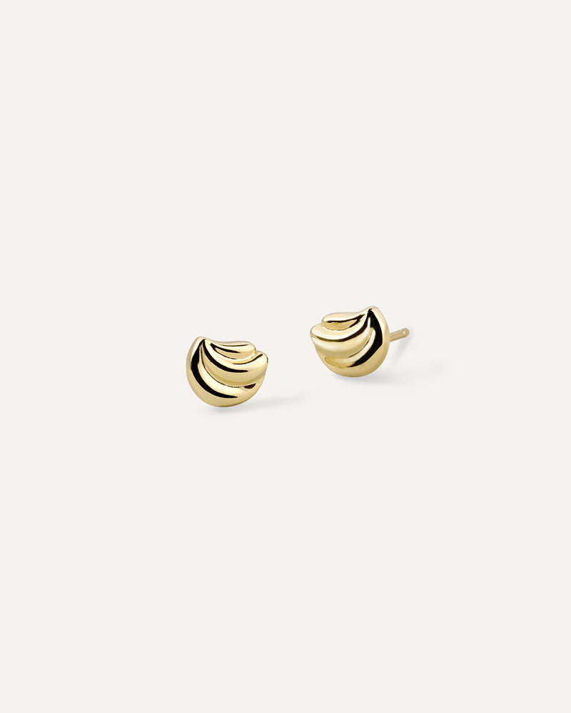 Shell Earrings