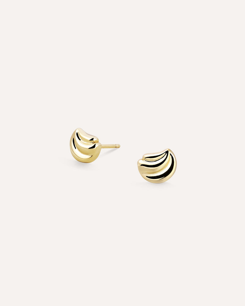 Shell Earrings